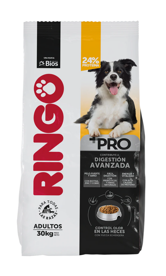 Ringo + Pro Adultos